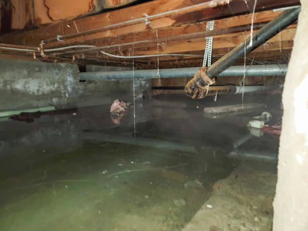 Best Emergency water extraction  in Dodge City, KS