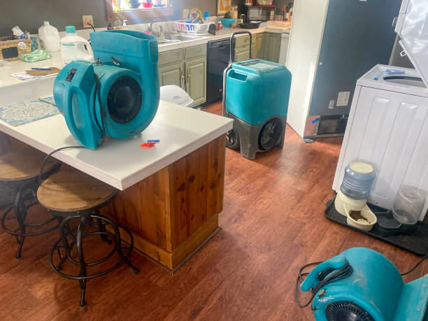 Best Water damage restoration insurance claims  in Dodge City, KS
