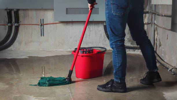 Best Basement water damage restoration  in Dodge City, KS