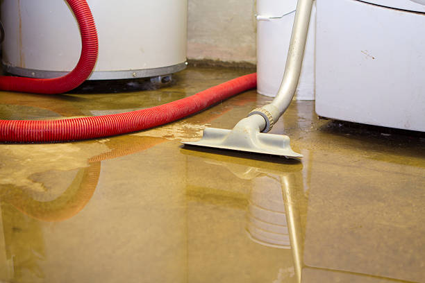 Best Water damage restoration services  in Dodge City, KS