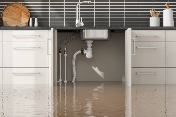 Best Sewage cleanup and water damage restoration  in Dodge City, KS
