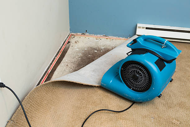 Best Commercial water damage restoration  in Dodge City, KS